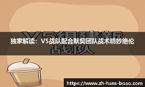 独家解读：V5战队配合默契团队战术精妙绝伦